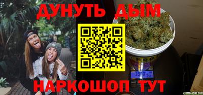 сатива Краснознаменск
