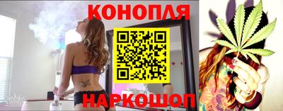 сатива Краснознаменск