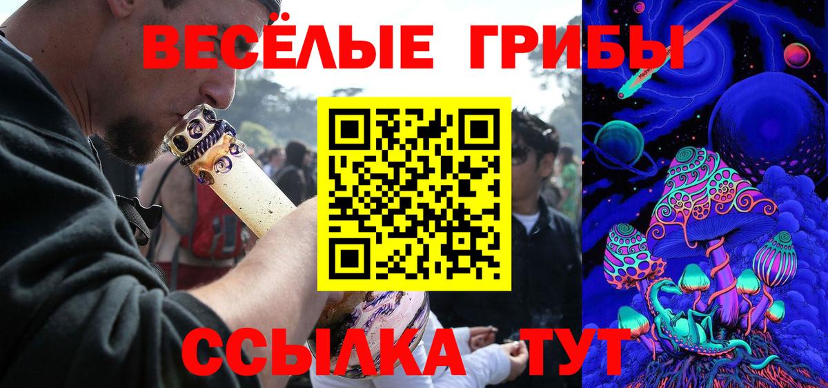 Псилоцибиновые грибы Cubensis Гусиноозёрск