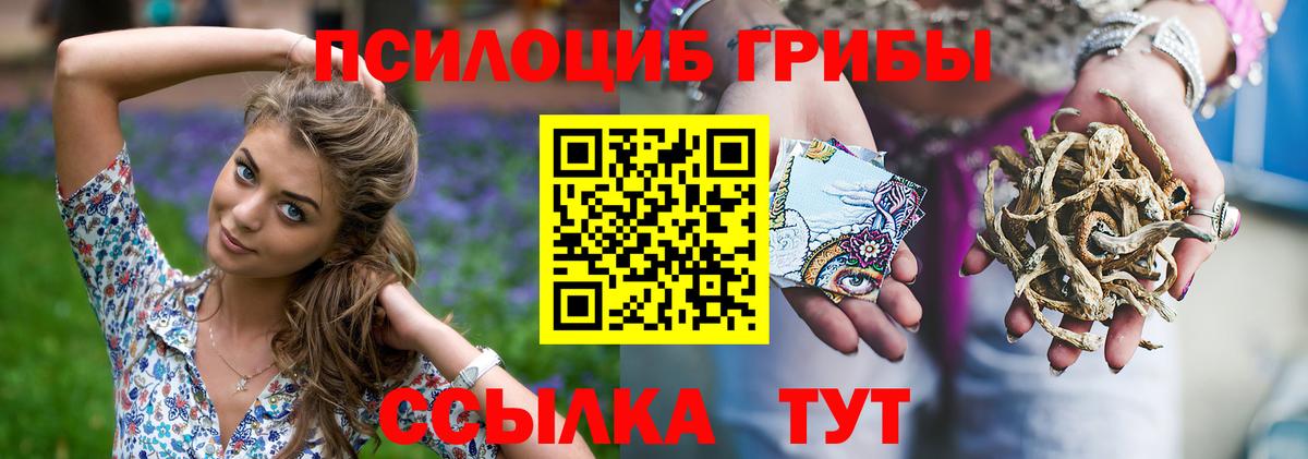 Гусиноозёрск  Галлюциногенные грибы GOLDEN TEACHER  Вход с VPN 